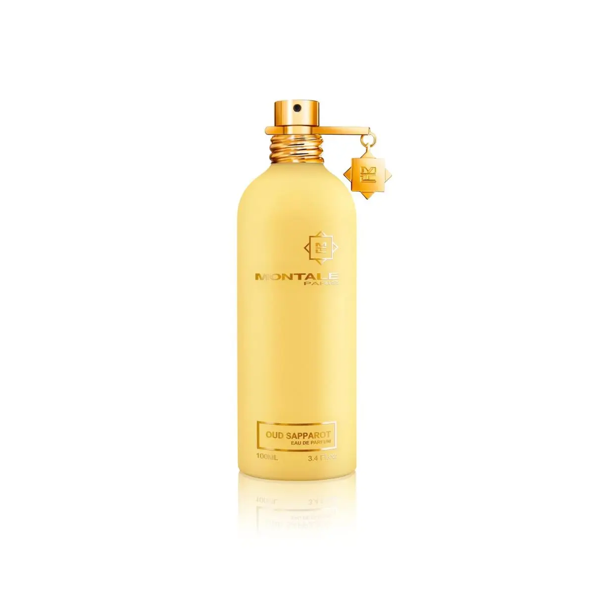 Oud Sapporot Eau de Parfum 100ml 3.4 fl oz Fruity Unisex Fragrance by Montale