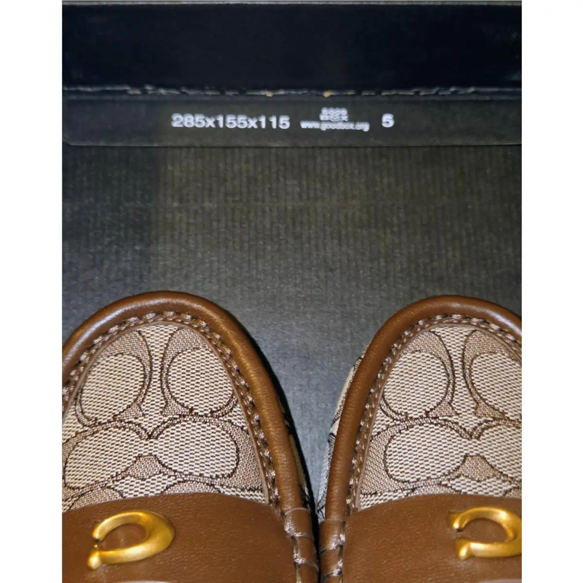 Coach shoes - Coach Fredrica - Fredrica - CCZ10 - Oak & Maple (UPC: 198685067484) 9