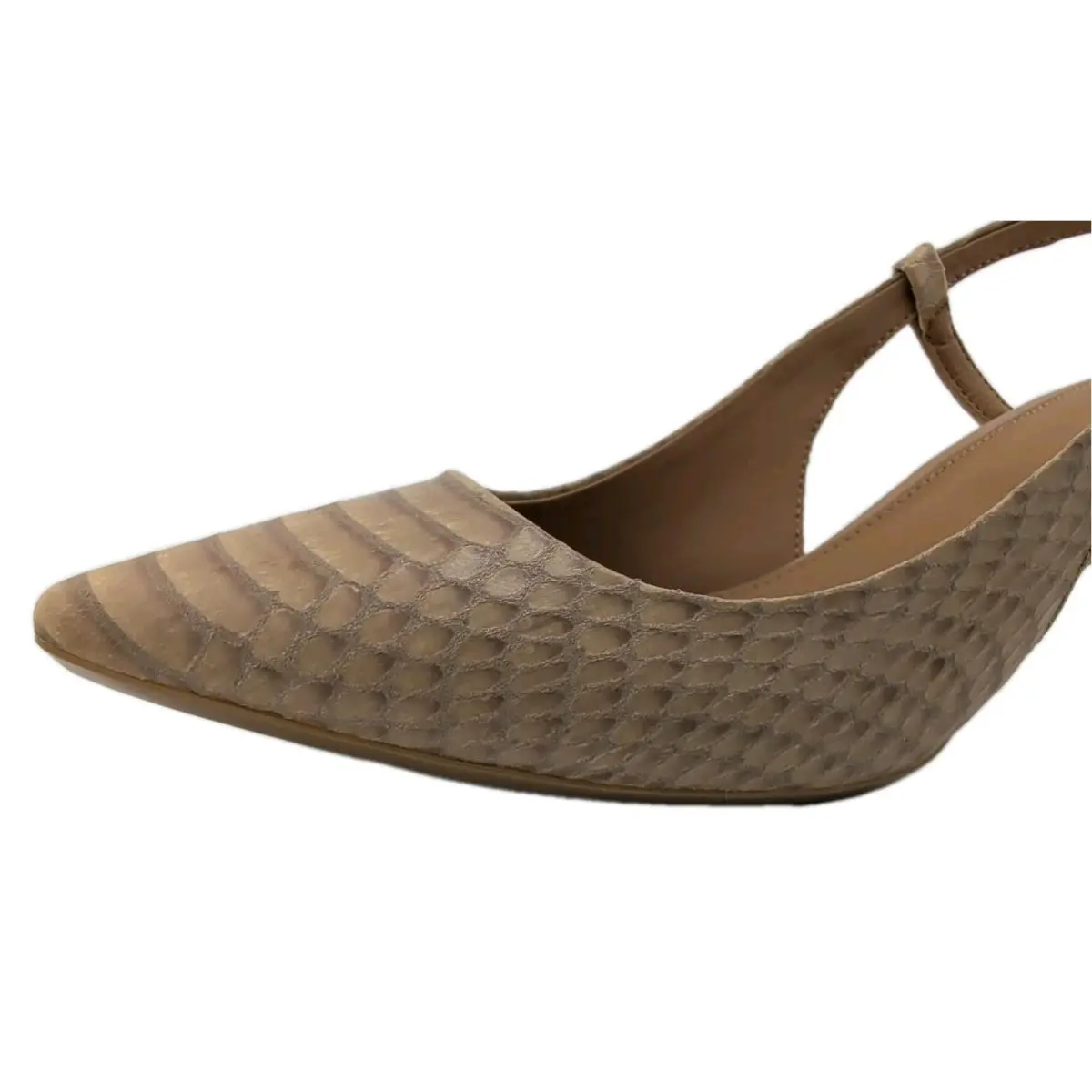 Calvin Klein shoes - Patsi Snake - Patsi Snake - Patsi Snake - Beige (UPC: 889655798773) 12
