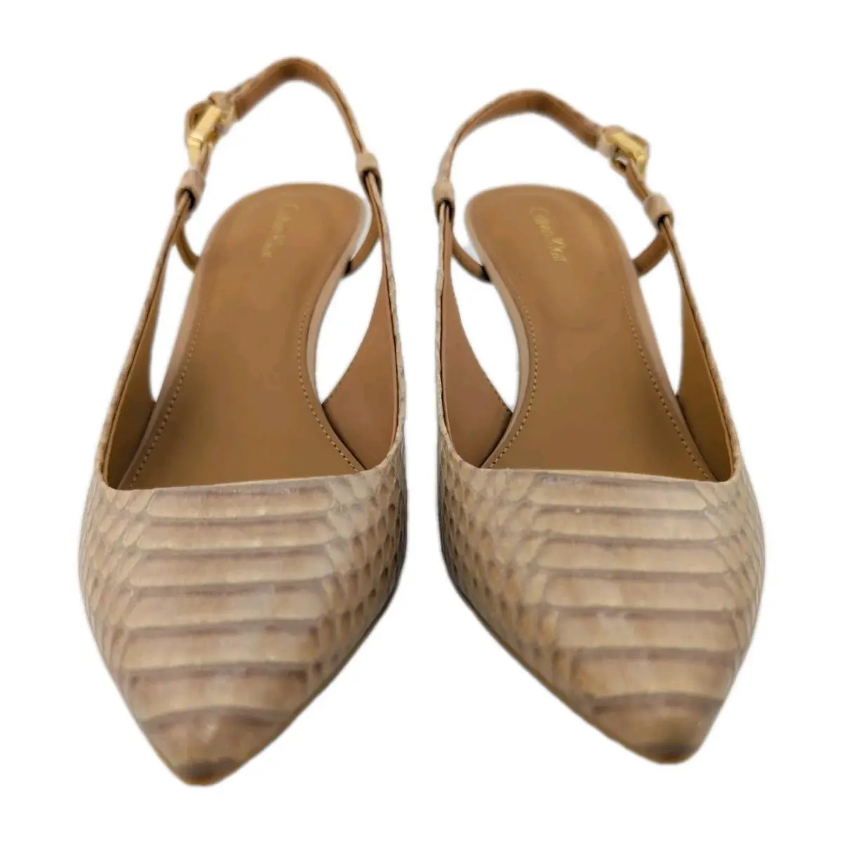 Calvin Klein shoes - Patsi Snake - Patsi Snake - Patsi Snake - Beige (UPC: 889655798773) 1