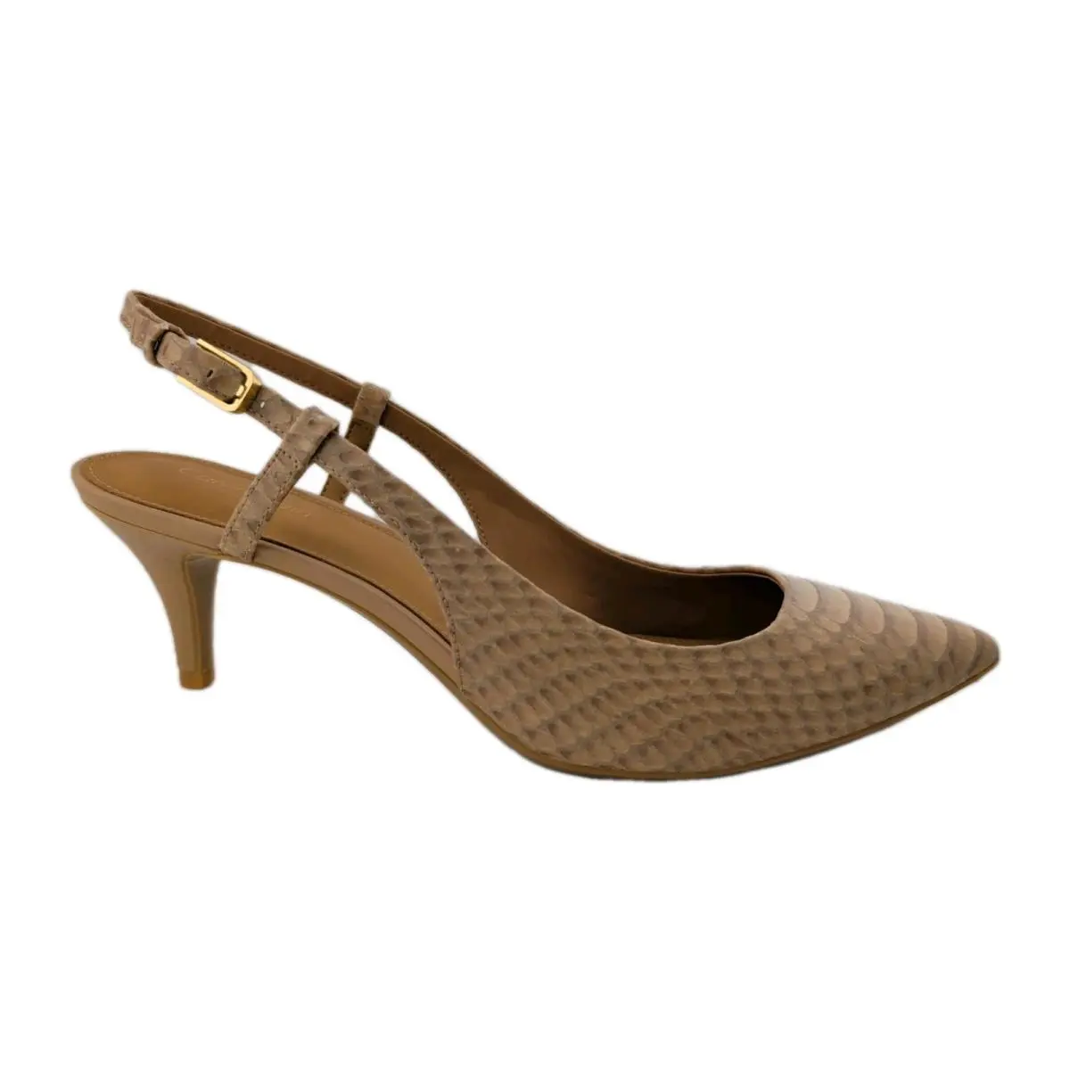 Calvin Klein shoes - Patsi Snake - Patsi Snake - Patsi Snake - Beige (UPC: 889655798773) 3