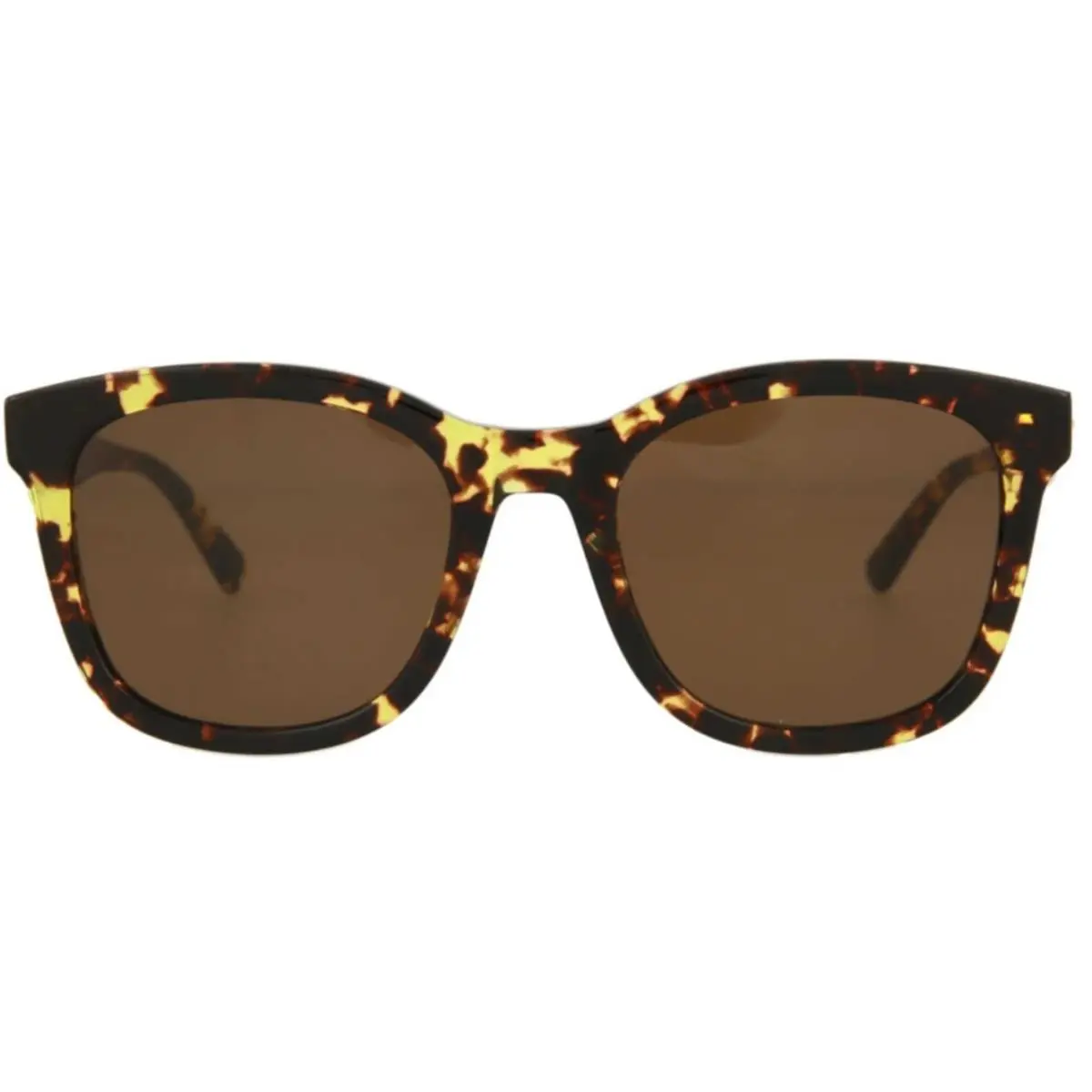 Women`s Round/oval Havana Havana Brown Fashion Sunglasses by Bottega Veneta