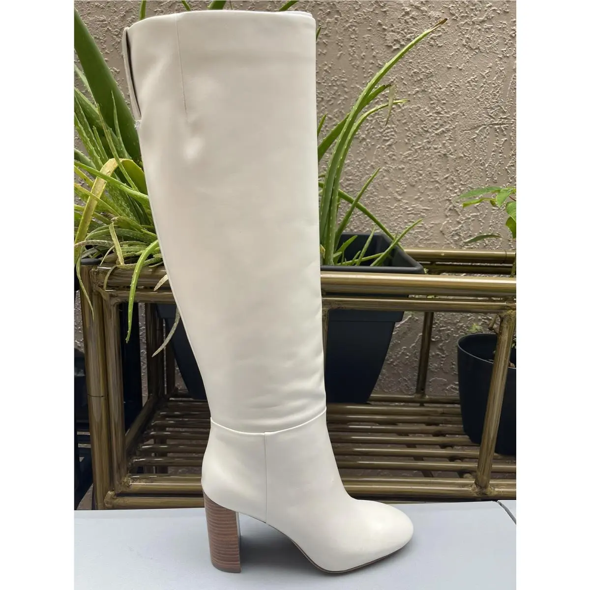 Kate Spade shoes - Colby Tall Heeled Boot - Colby Tall Heeled Boot - KJ151 - Bone (UPC: 196021532689) 9