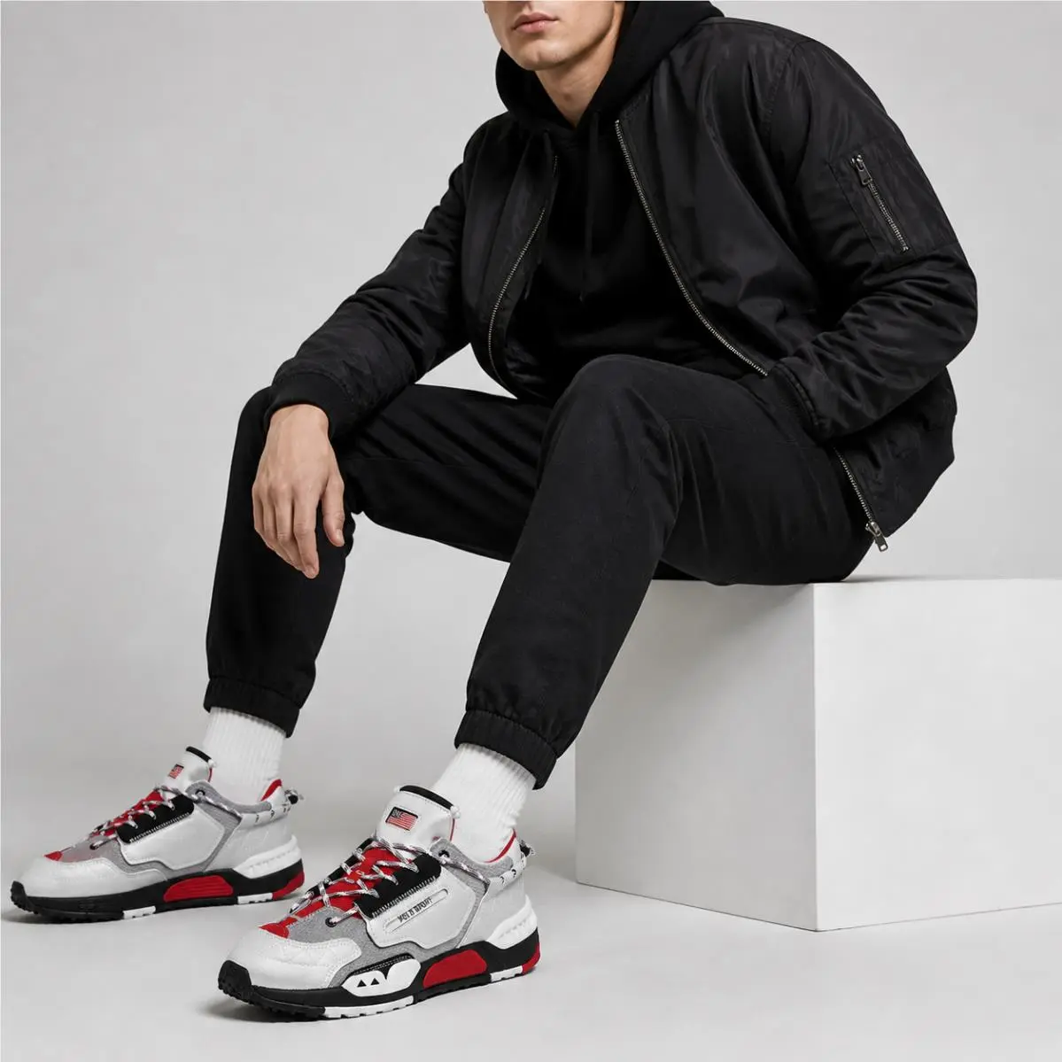 Ralph Lauren shoes - Jogger Sneaker - Jogger Sneaker - 99892003 999 - silver/red/white 6