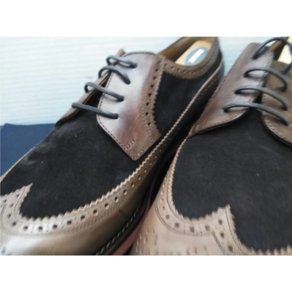 Ralph Lauren shoes - Polo Ralph Lauren HOOVER - Polo HOOVER - Brown 17