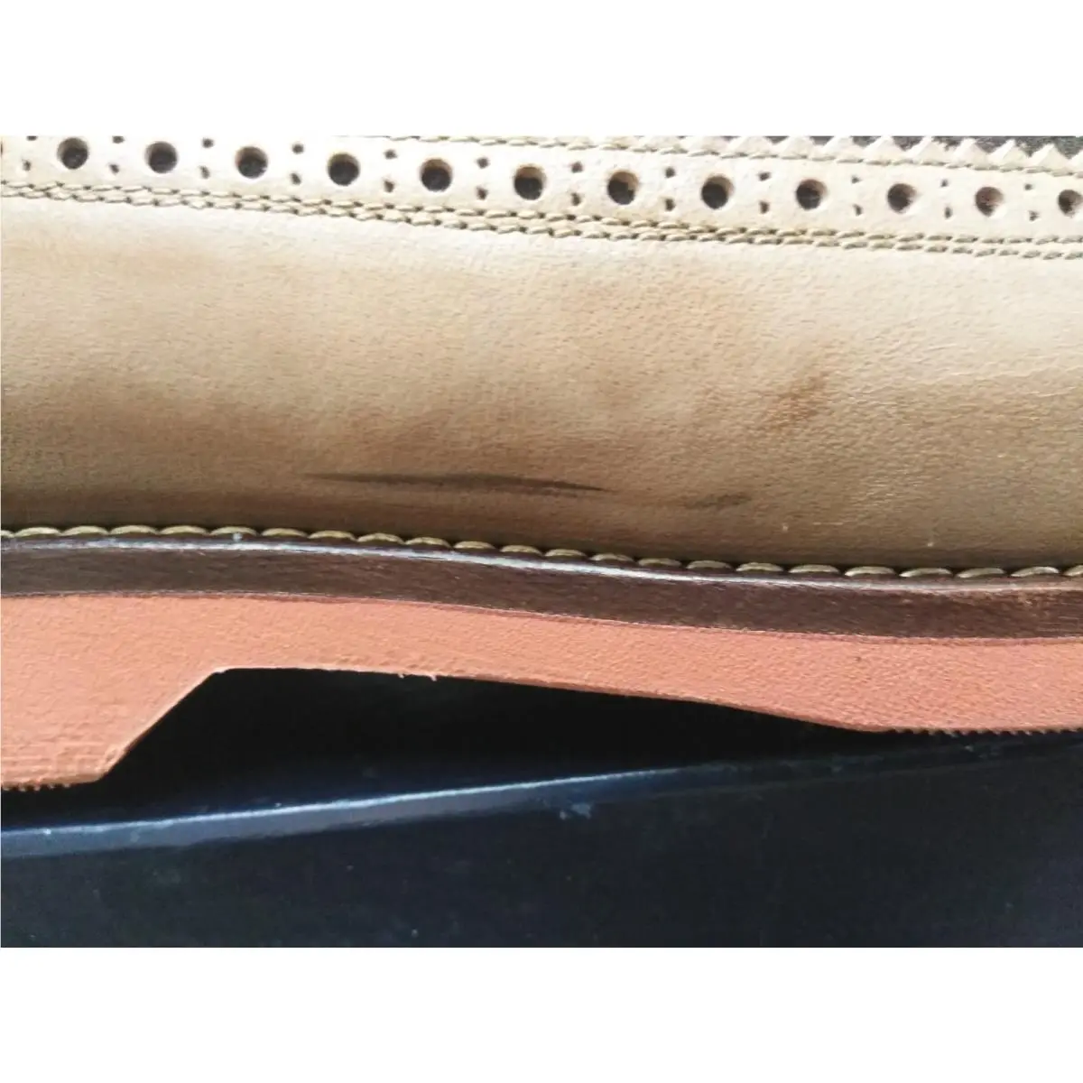 Ralph Lauren shoes - Polo Ralph Lauren HOOVER - Polo HOOVER - Brown 20