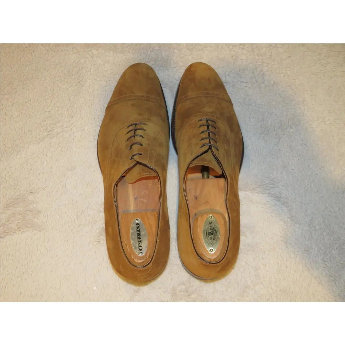 Ralph Lauren shoes - Denver - Denver - Snuff 4