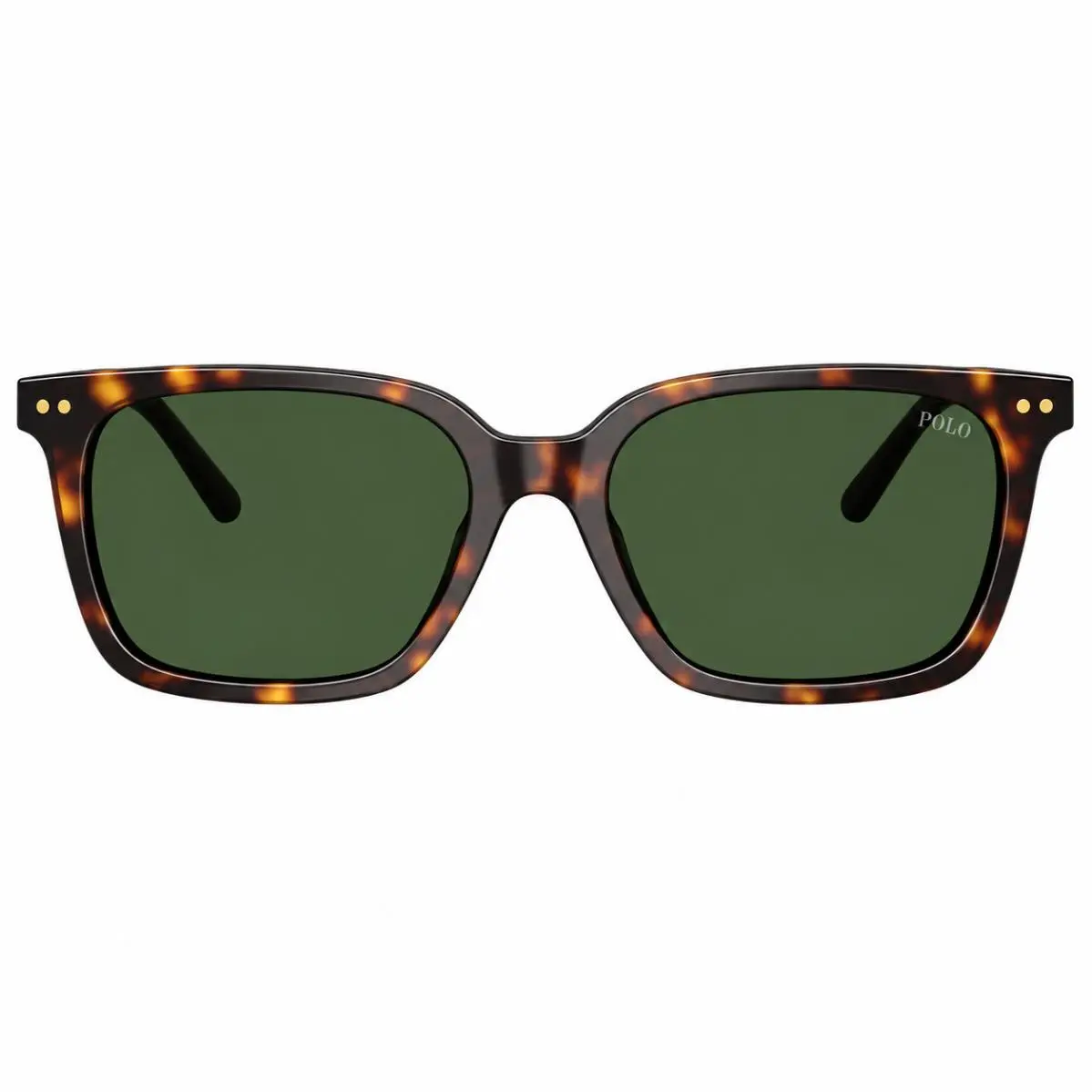 Polo  PH 4235U 500371 Shiny Dark Havana Plastic Sunglasses Green by Ralph Lauren