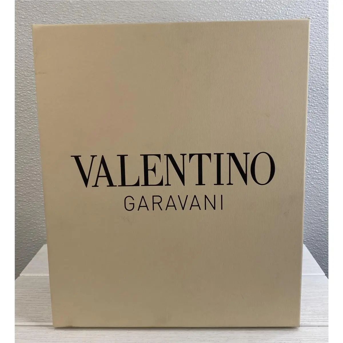 Valentino shoes - Silver 12
