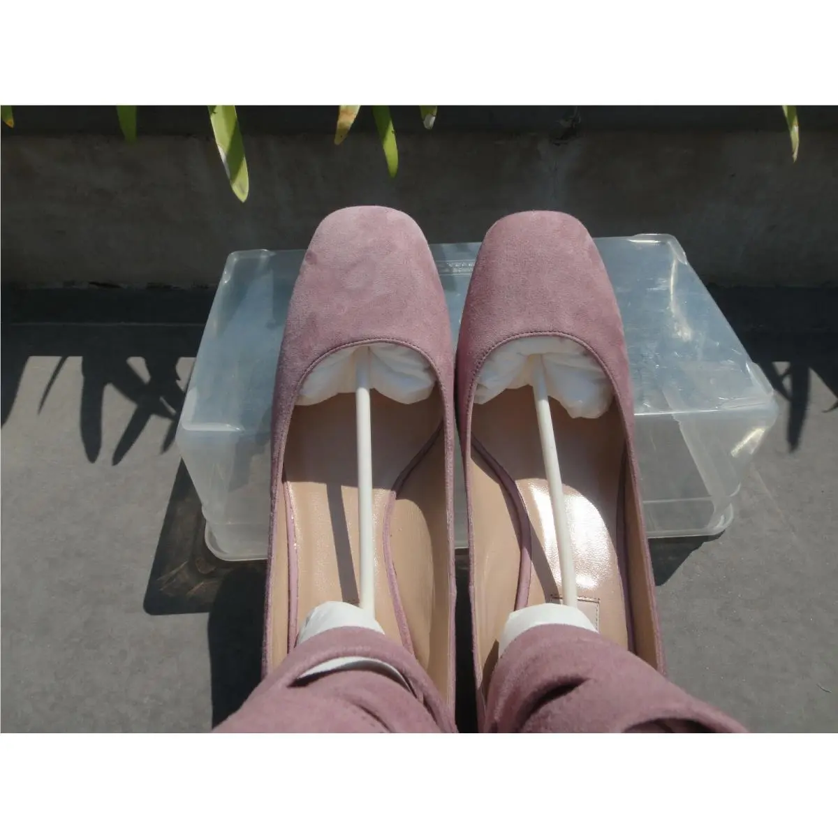 Valentino shoes - Plum Ankle Strap Pump - Plum Ankle Strap Pump - Antique Rose (pink) 7