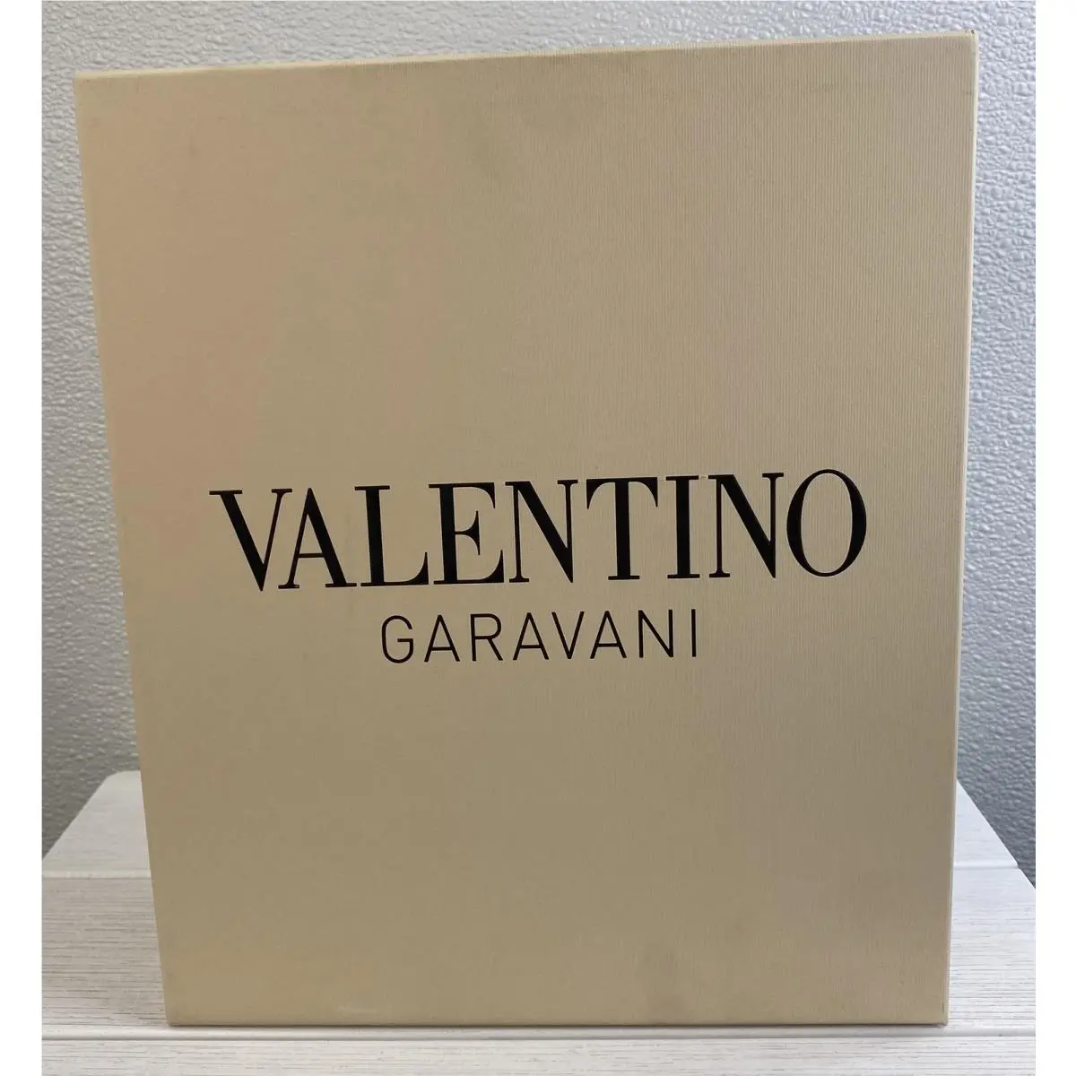 Valentino shoes - Silver 12