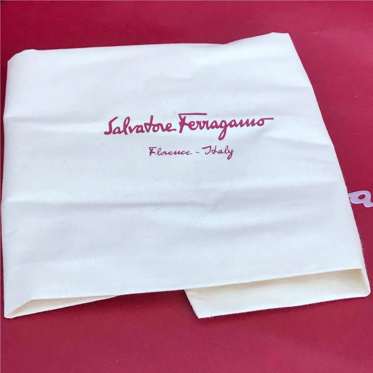 Salvatore Ferragamo shoes - Pegasus - Pegasus - PEGASUS - White 14