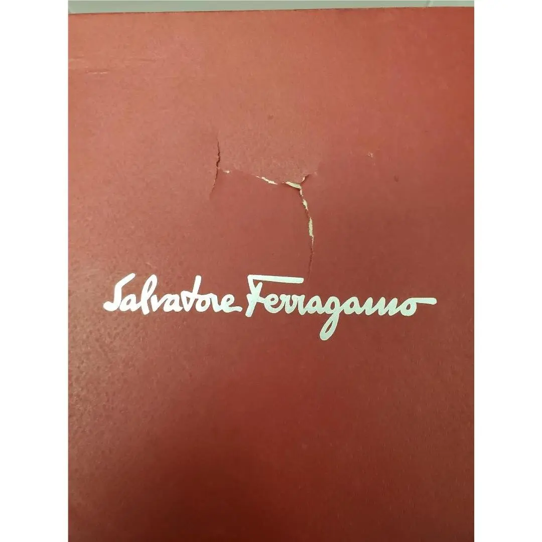 Salvatore Ferragamo shoes - Black 6