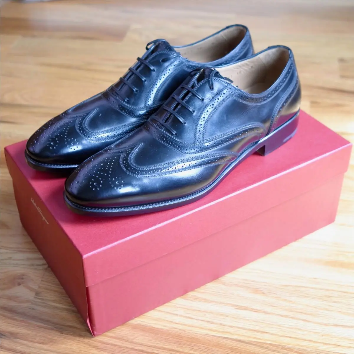 Salvatore Ferragamo Men’s Tramezza Maxance Black Calf Wingtip Oxford 10 B