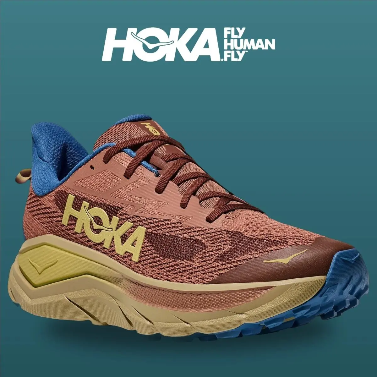 Hoka shoes - Challenger 8 - Challenger - 1168716-MPLC - Maple/Cardamom 13