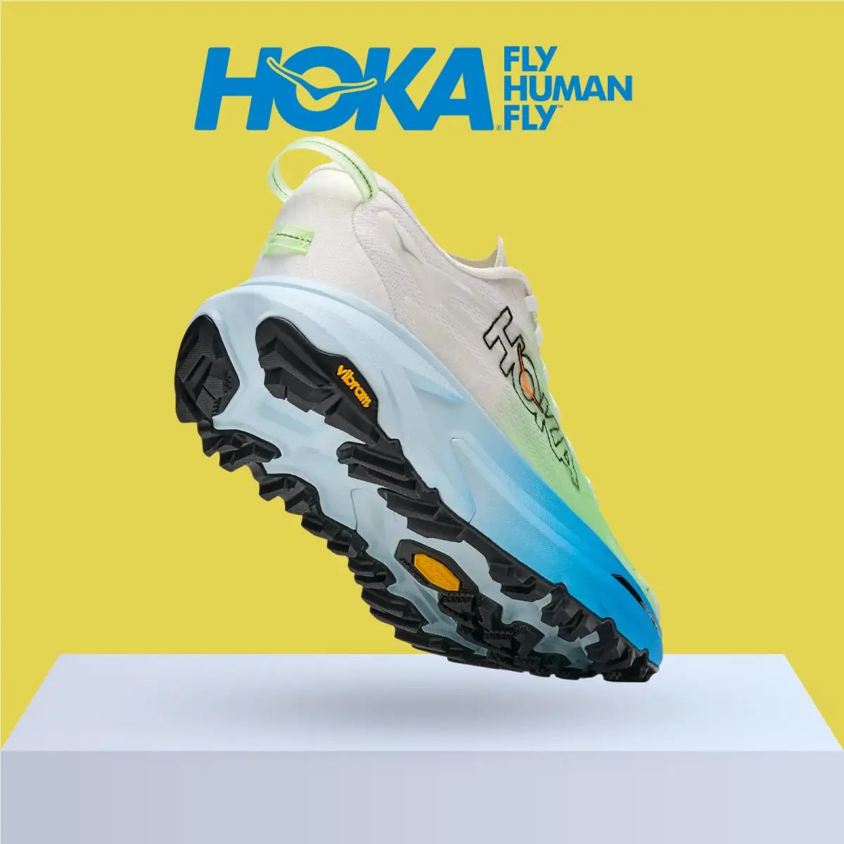 Hoka shoes - Hoka One One Mafate 5 - Celestial Blue/Blue Blossom 13