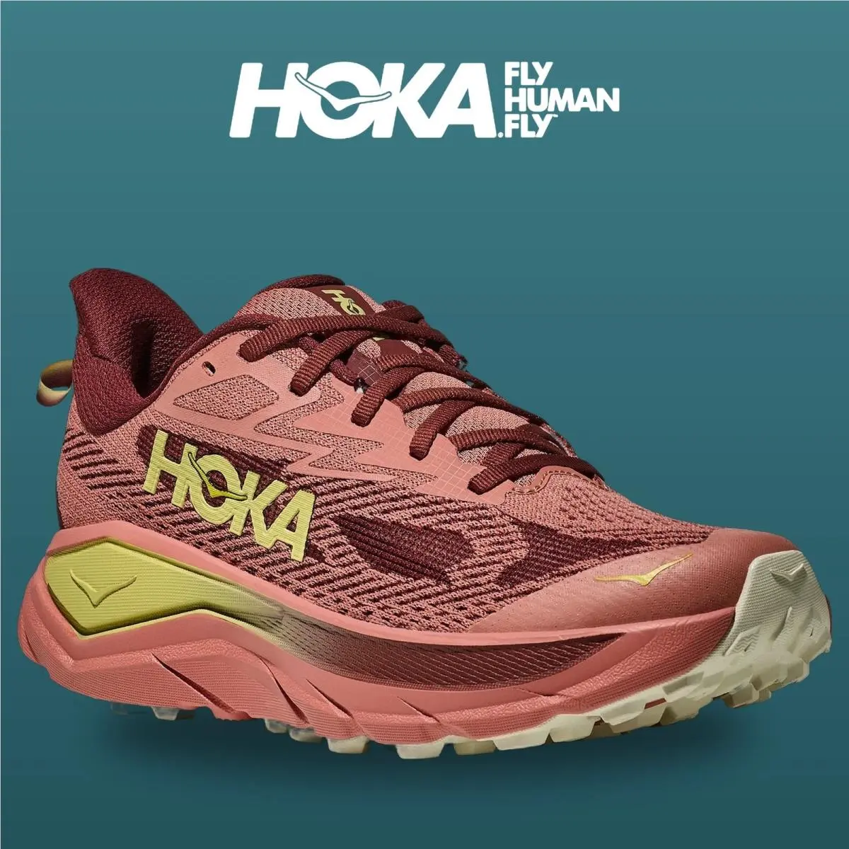 Hoka shoes - Challenger 8 - Challenger - 1168717-BSHD - Blush/Dark Cedar 4