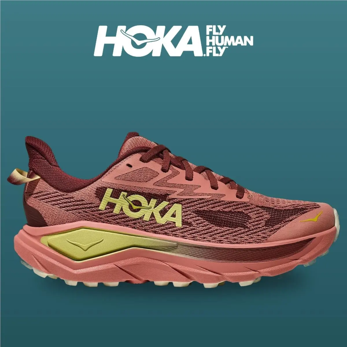 Hoka shoes - Challenger 8 - Challenger - 1168717-BSHD - Blush/Dark Cedar 8