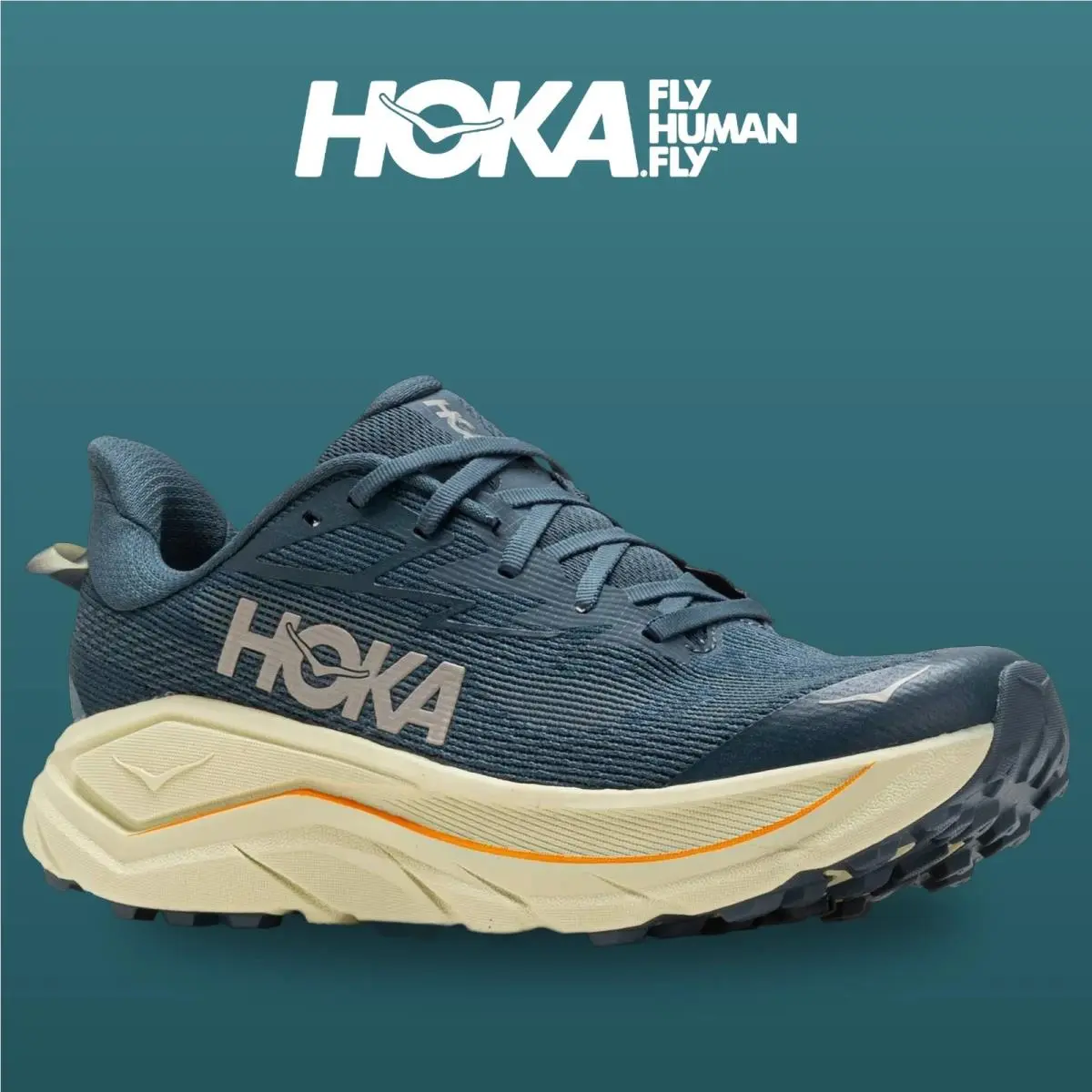 Hoka shoes - Challenger 8 - Challenger - 1168716-FYP - Faded Navy/Pampass Grass 3