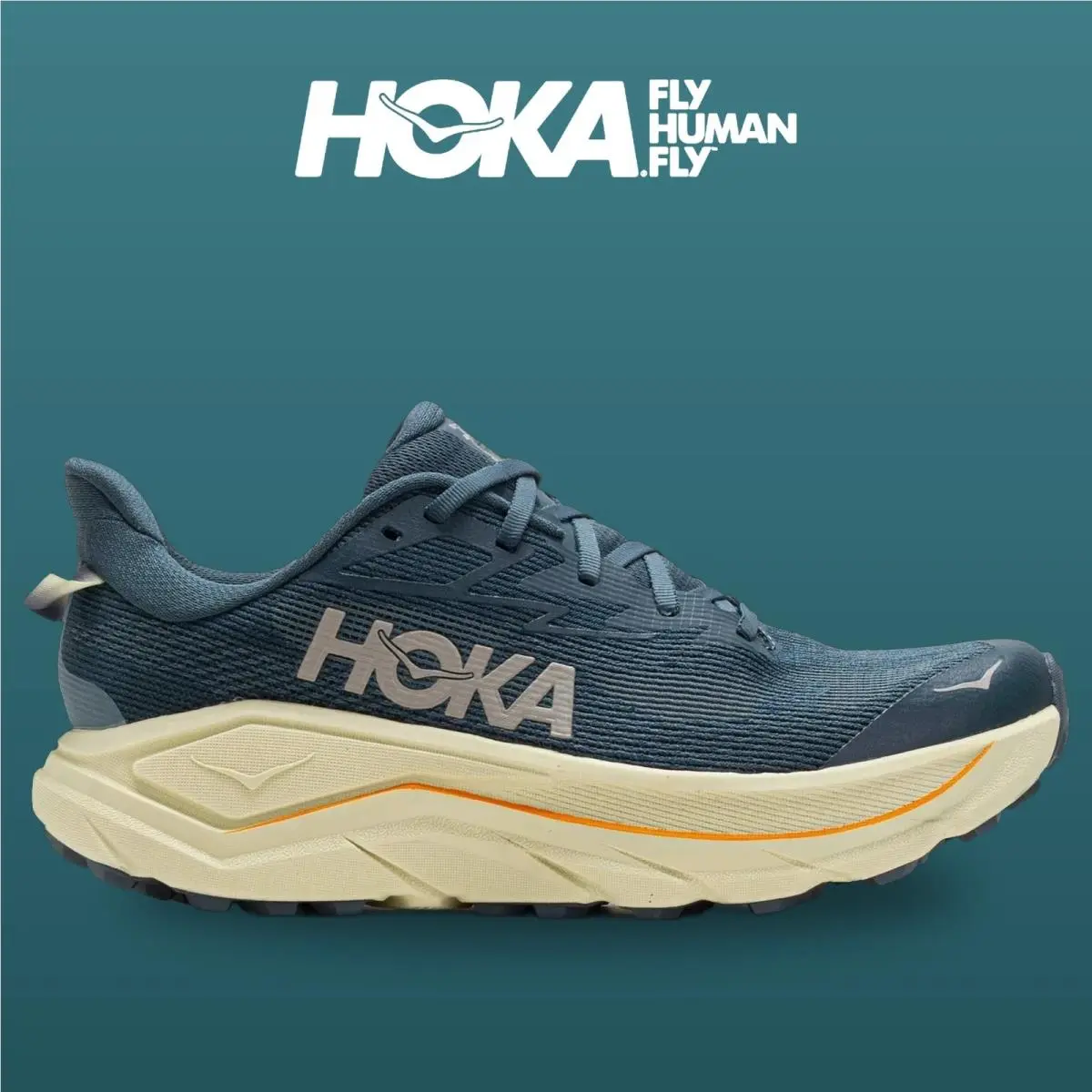 Hoka shoes - Challenger 8 - Challenger - 1168716-FYP - Faded Navy/Pampass Grass 6