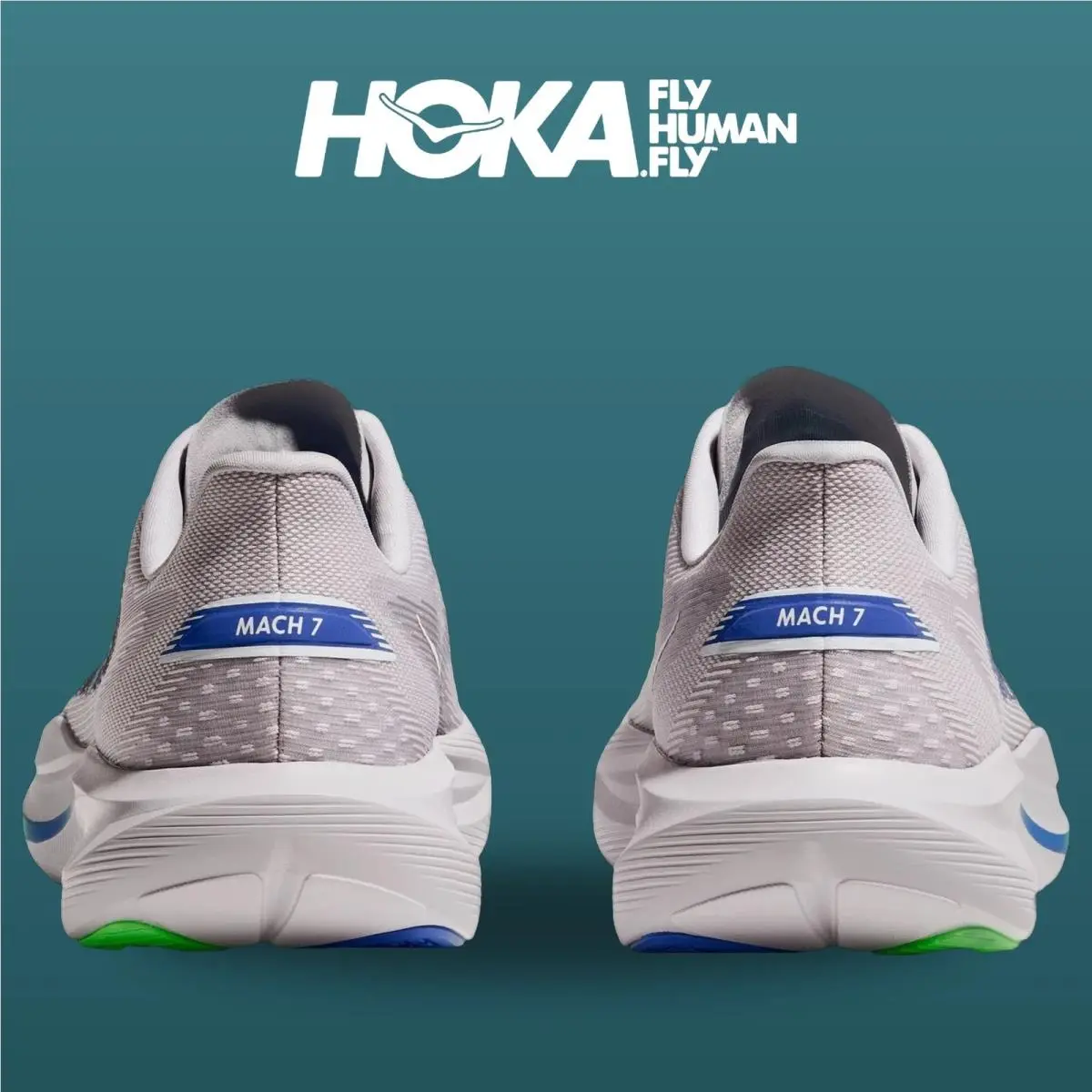 Hoka shoes - Mach 7 - Mach - 1171904-AYCB - Ash Grey/Cobalt Blue 12