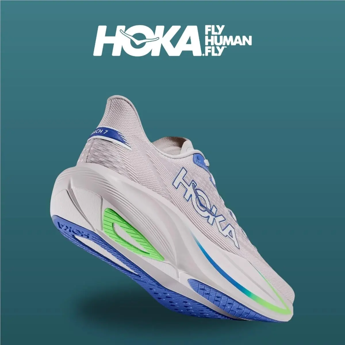 Hoka shoes - Mach 7 - Mach - 1171904-AYCB - Ash Grey/Cobalt Blue 15