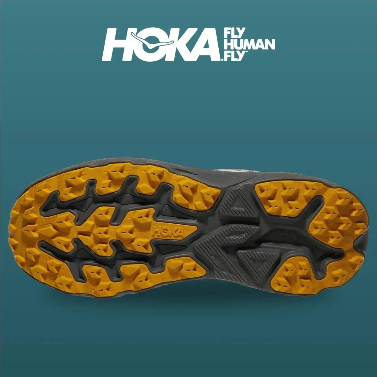Hoka shoes - Challenger 8 Gtx - Challenger Gtx - 1171958-AYV - Ashpalt/Varsity Yellow 10