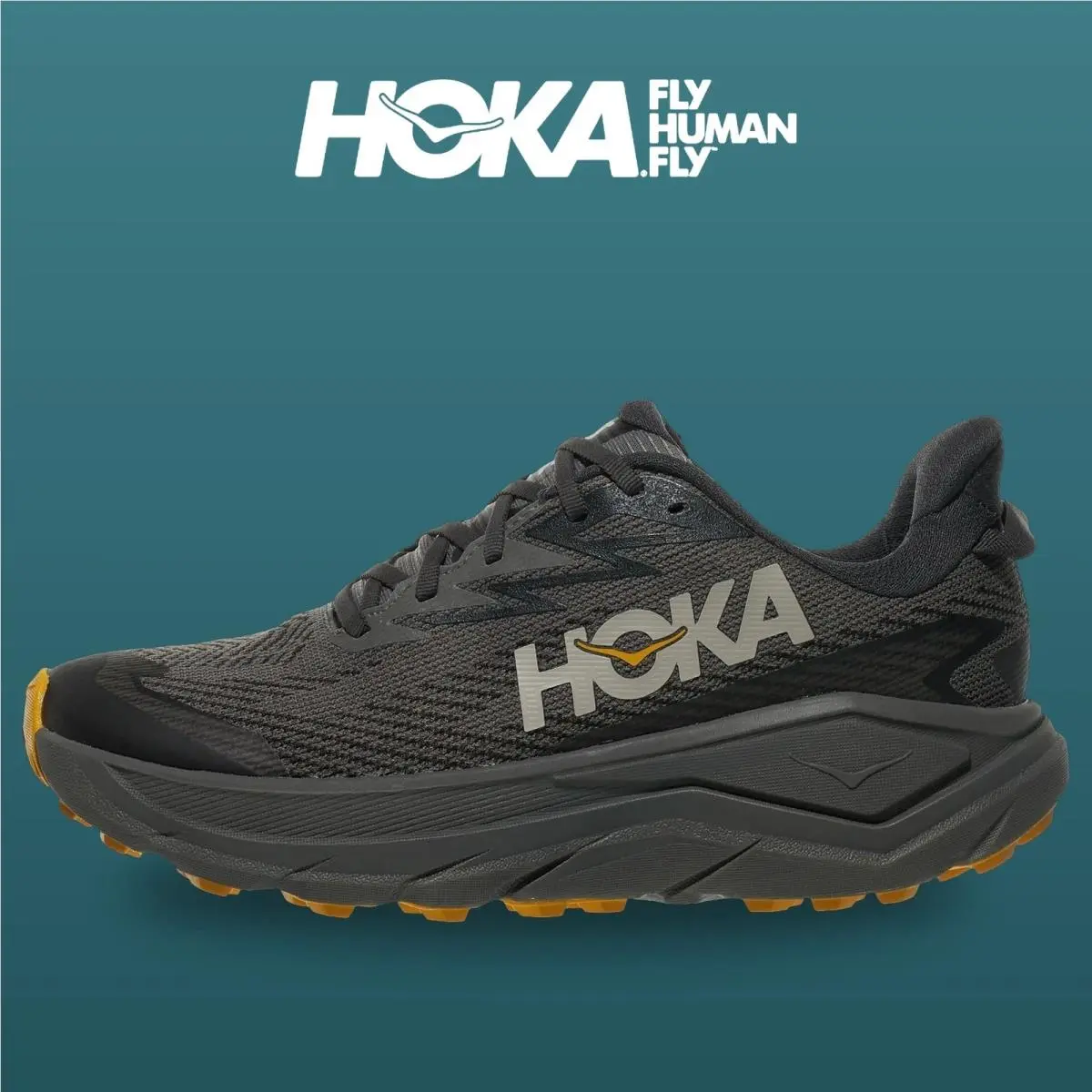 Hoka shoes - Challenger 8 Gtx - Challenger Gtx - 1171958-AYV - Ashpalt/Varsity Yellow 6