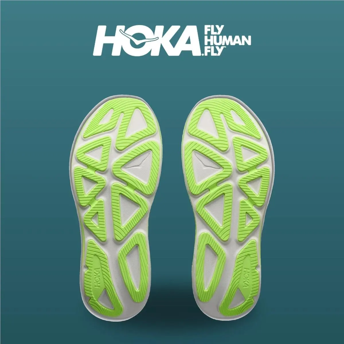 Hoka shoes - Clifton Pro - Clifton Pro - 1176510-CCKT - Carbon Black/Tart Apple 10