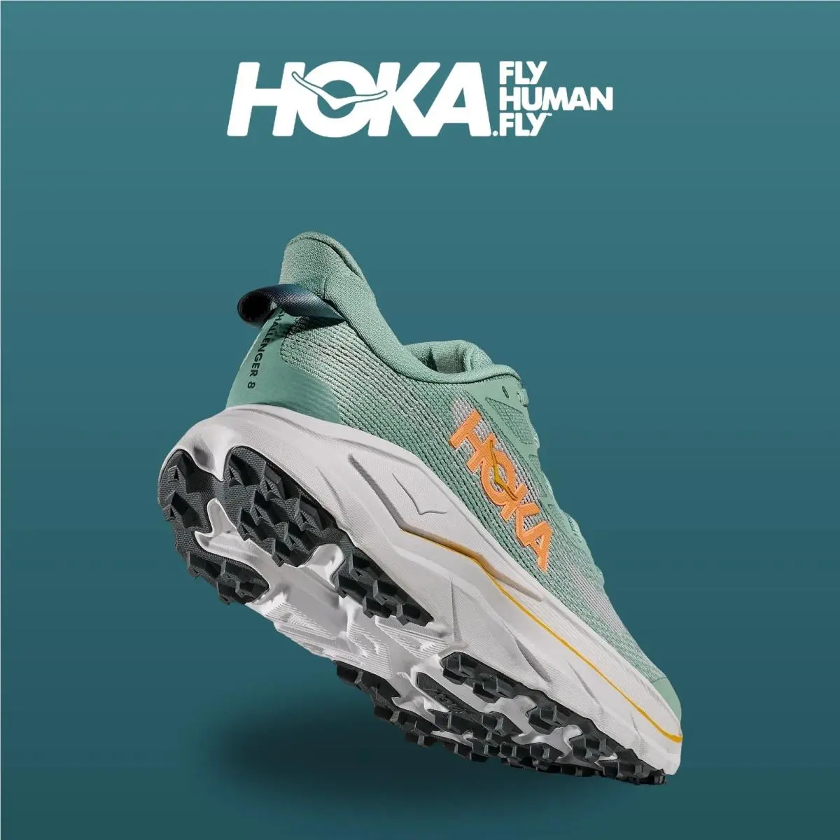 Hoka shoes - HOKA Challenger 8 Wide - Challenger Wide - 1168717-JDC - Jade/Cosmic Grey 15