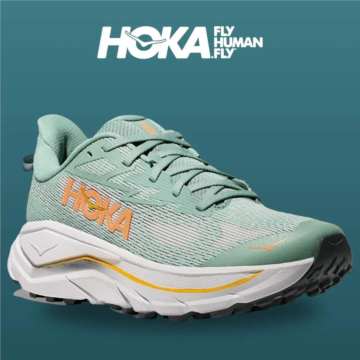 Hoka shoes - Challenger 8 - Challenger - 1168717-JDC - Jade/Cosmic Grey 13
