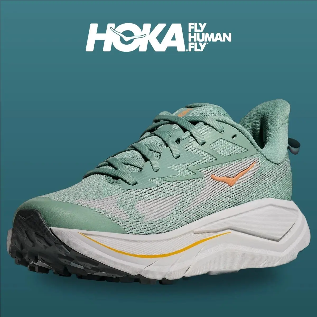 Hoka shoes - Challenger 8 - Challenger - 1168717-JDC - Jade/Cosmic Grey 14
