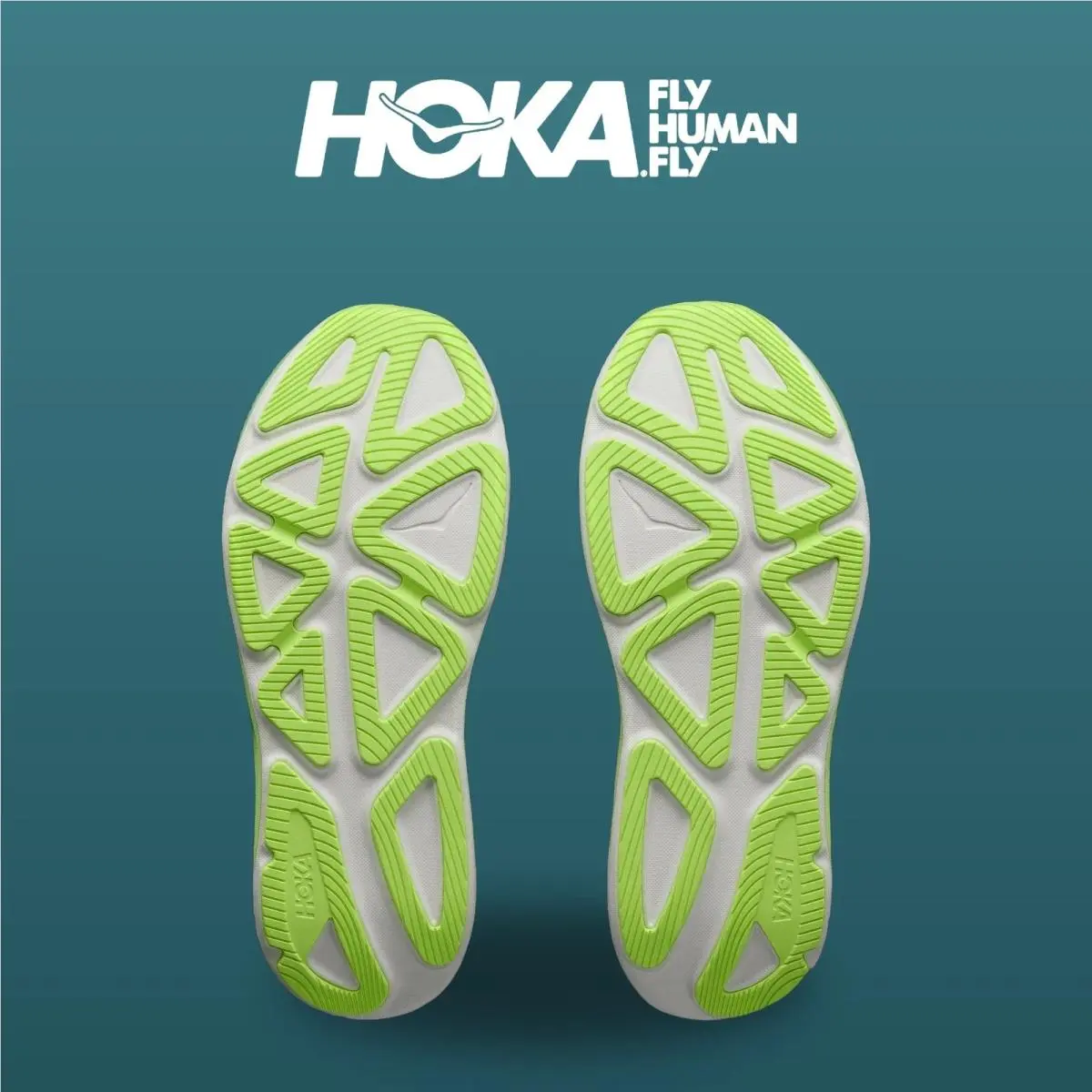 Hoka shoes - Clifton Pro - Clifton Pro - 1176510-FSTV - Frost/Virtual Blue 11
