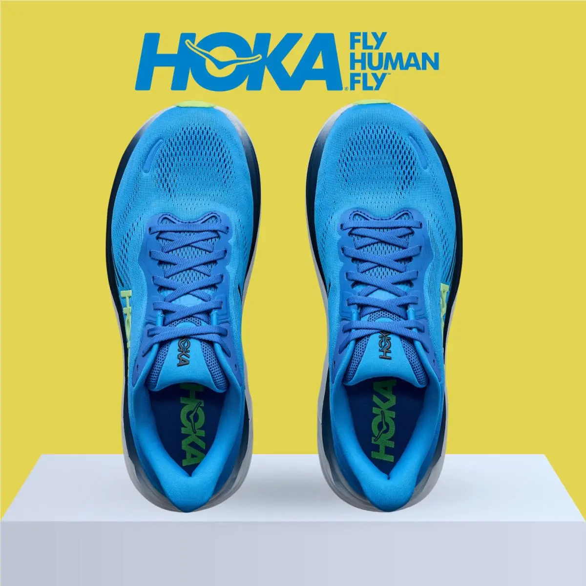 Hoka shoes - Hoka One One Clifton 11 - Antique Olive/River Rock Grey 55