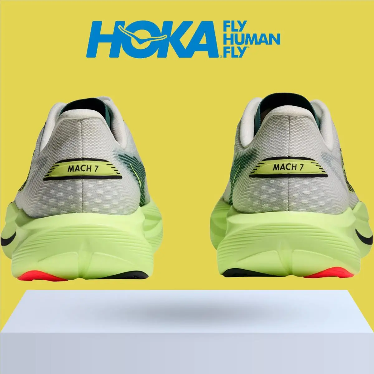 Hoka shoes - Hoka One One Mach 7 - Alabaster/Soaring Blue 39