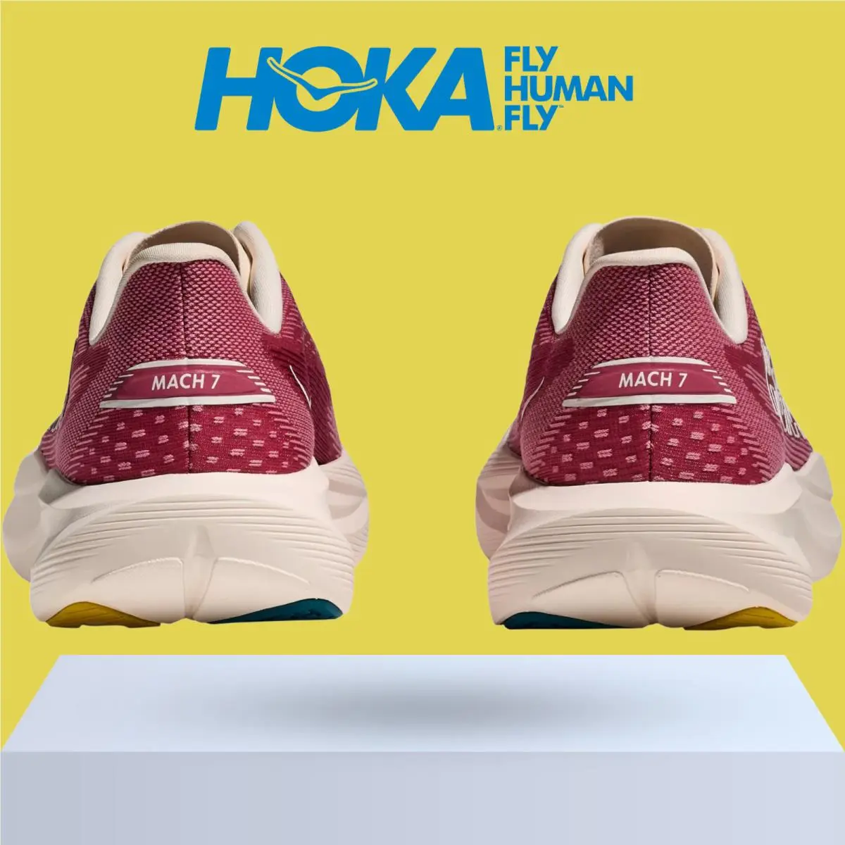 Hoka shoes - Hoka One One Mach 7 - Alabaster/Soaring Blue 20