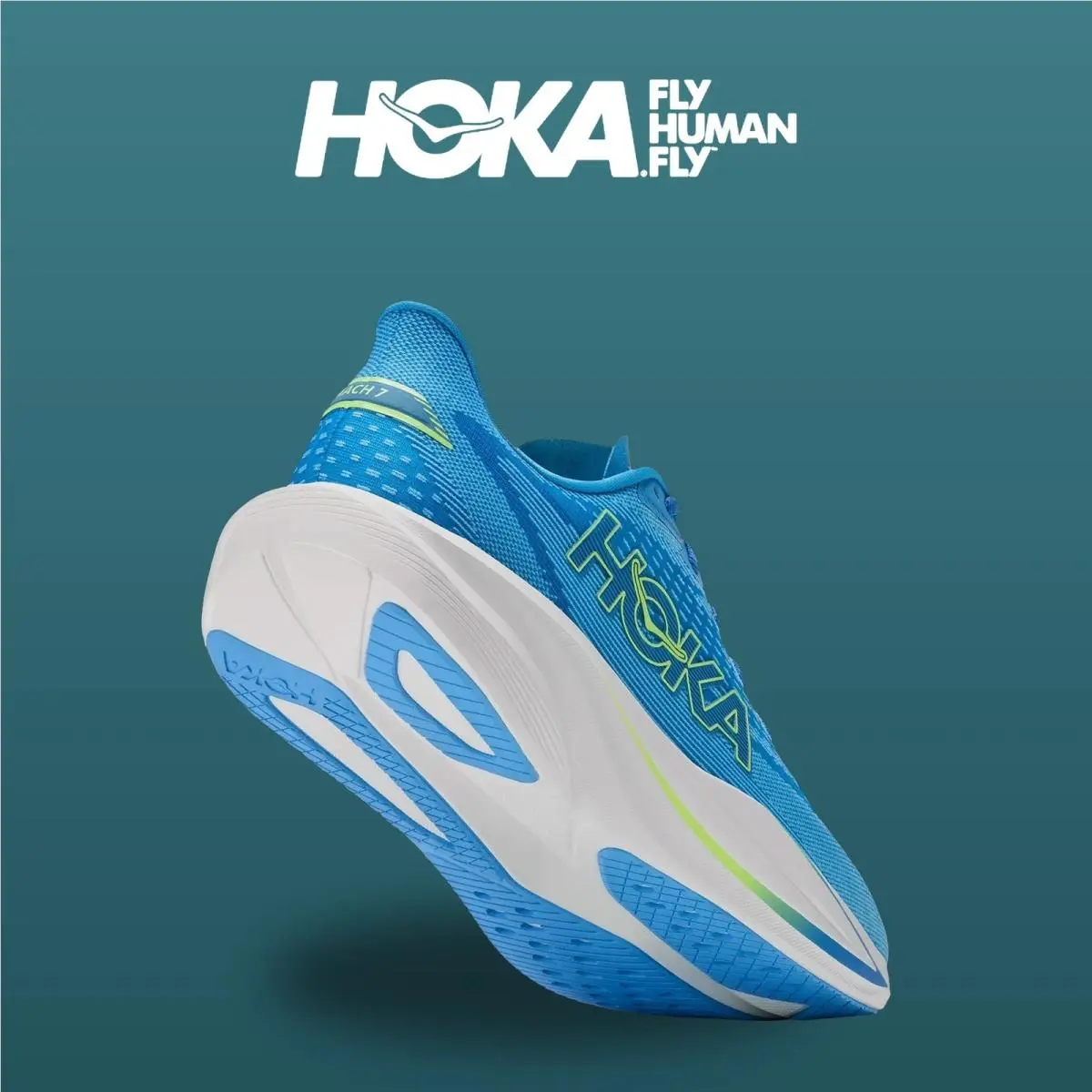 Hoka shoes - HOKA Mach 7 Wide - Mach Wide - 1171904-VSF - Virtual Blue/Soft Cobalt 13