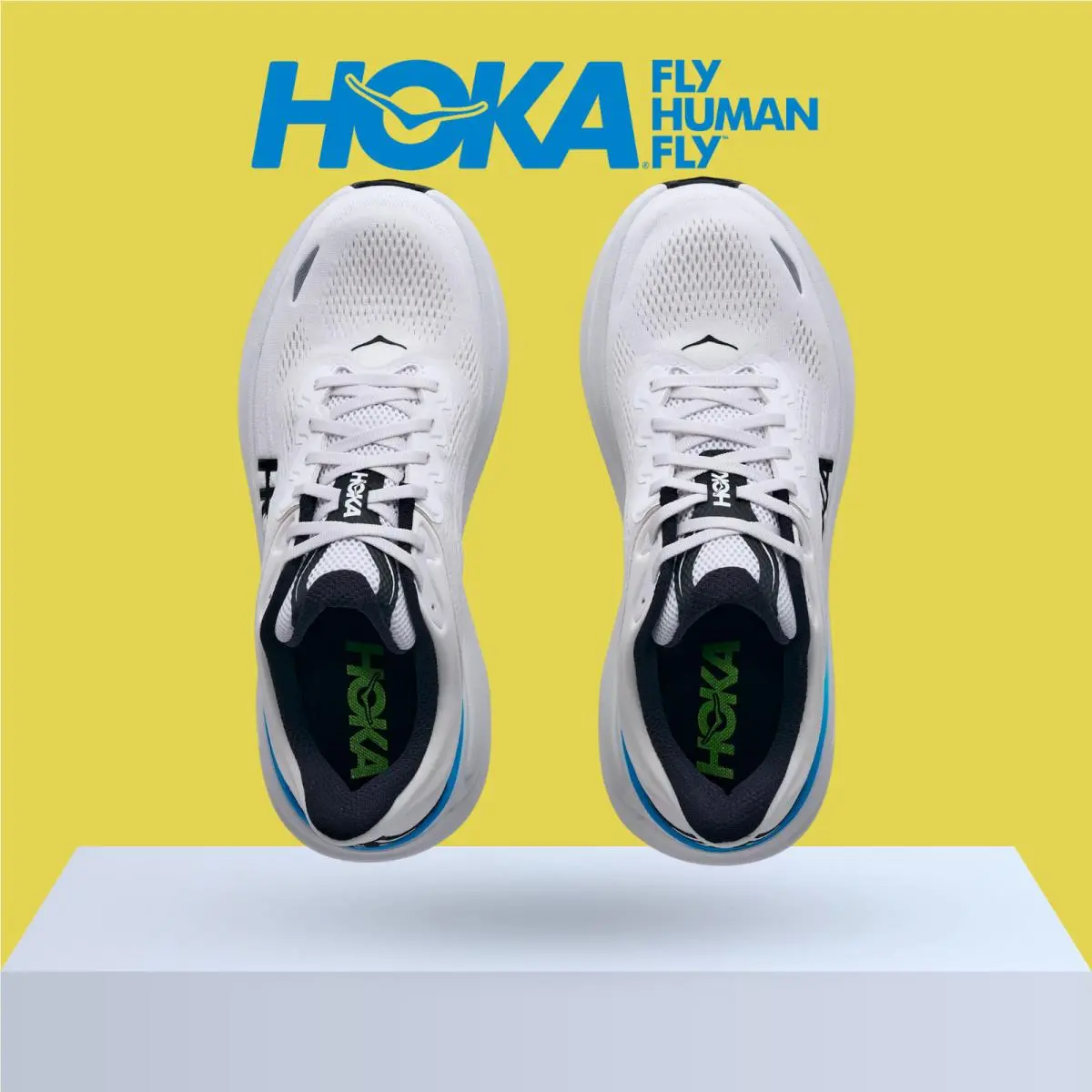 Hoka shoes - Hoka One One Bondi 9 - Downpour/Thunder Cloud 42