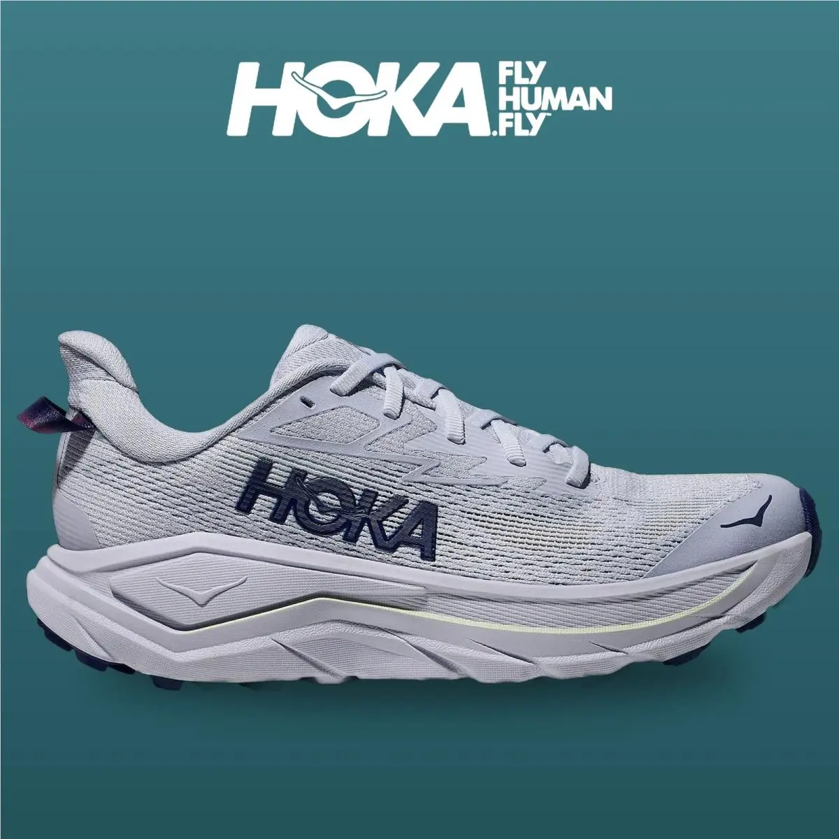 Hoka shoes - Challenger 8 - Challenger - 1168717-ALBR - Ambient Blue/Blueberry 8