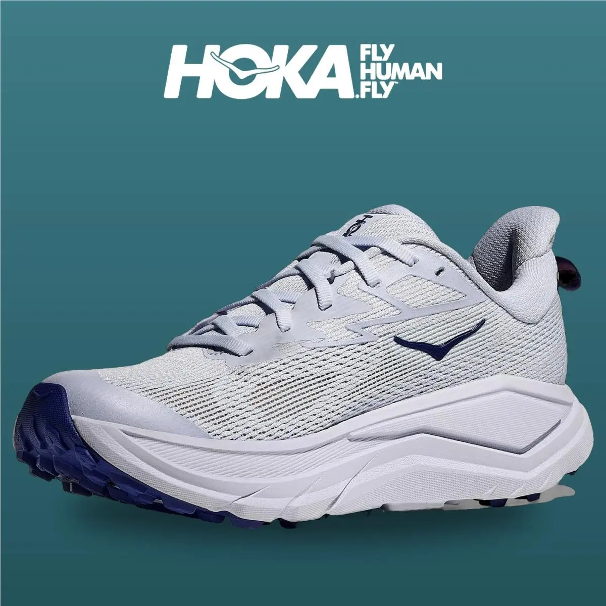 Hoka shoes - Challenger 8 - Challenger - 1168717-ALBR - Ambient Blue/Blueberry 11