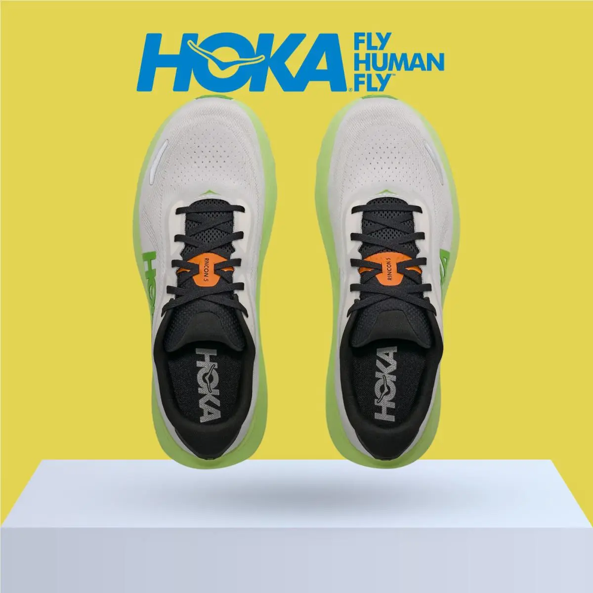 Hoka shoes - Hoka One One Rincon 5 - Baby Kale/Slate Blue 22