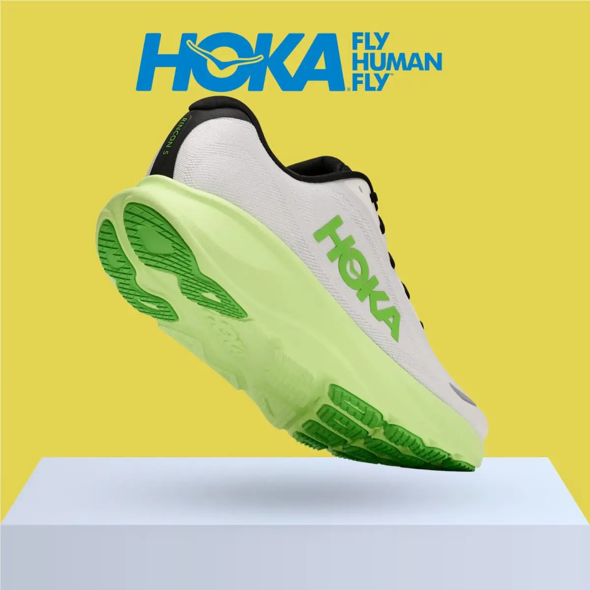 Hoka shoes - Hoka One One Rincon 5 - Baby Kale/Slate Blue 23