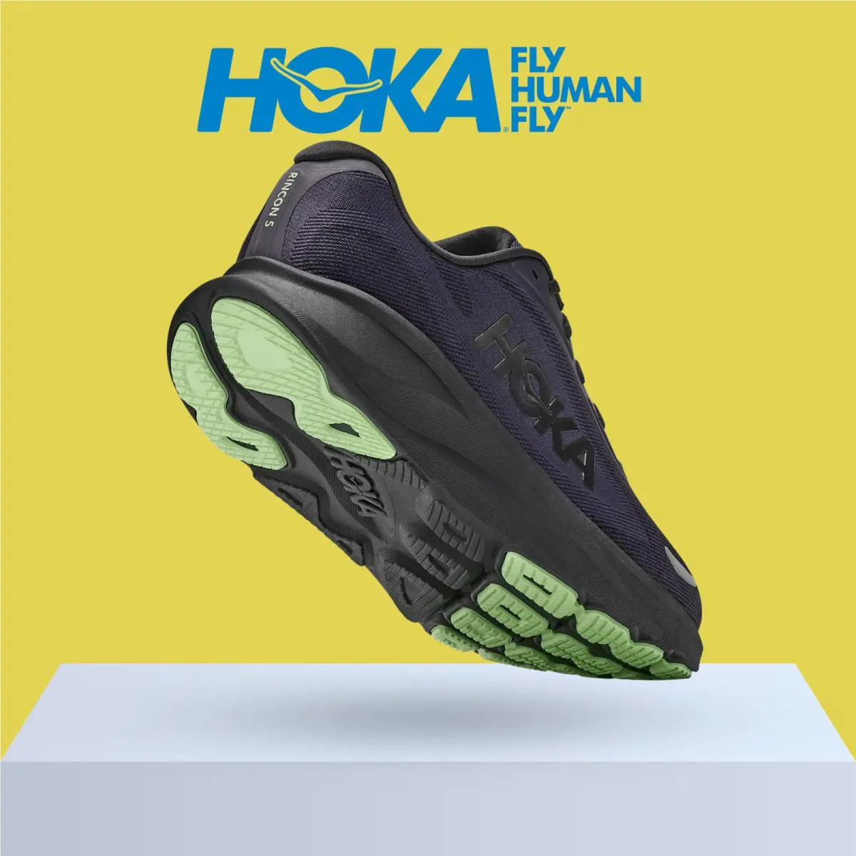 Hoka shoes - Hoka One One Rincon 5 - Baby Kale/Slate Blue 33