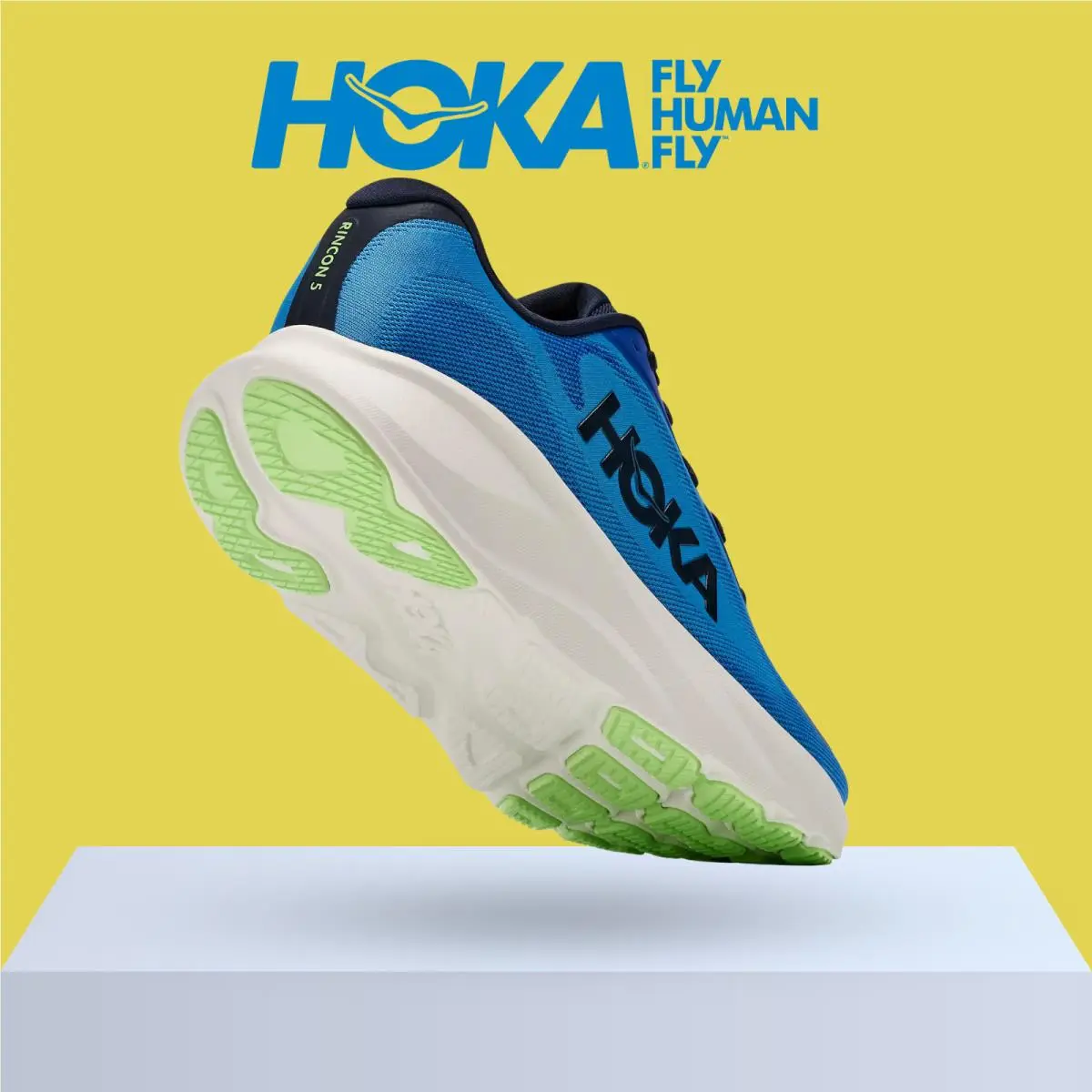 Hoka shoes - Hoka One One Rincon 5 - Baby Kale/Slate Blue 38