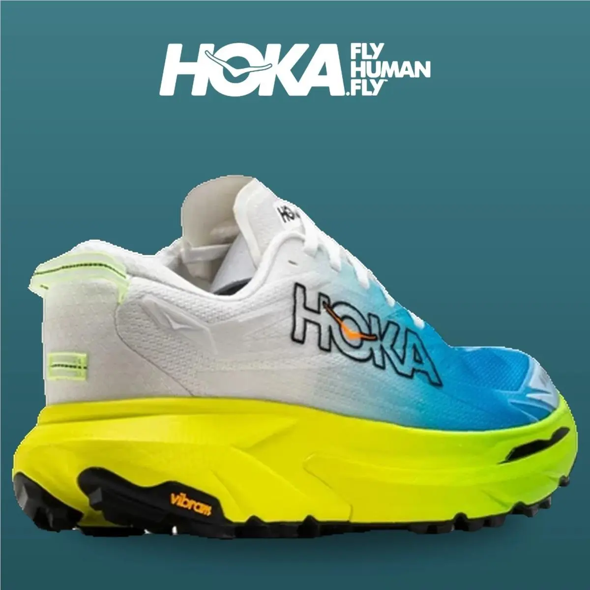 Hoka shoes - Mafate 5 - Mafate - 1168722-FHK - Frost/HOKA Citrus 11