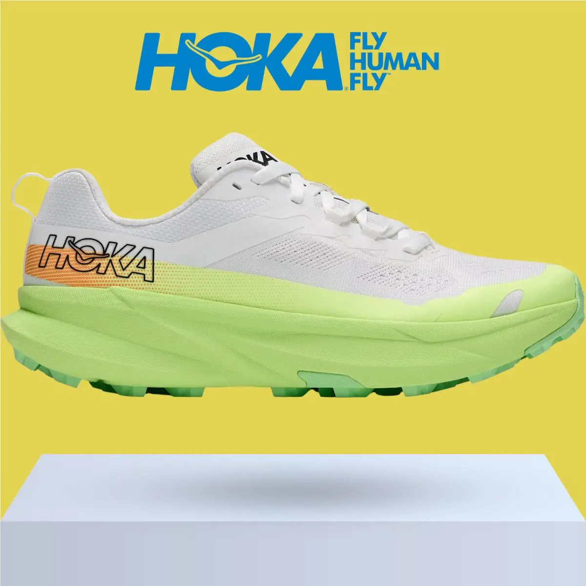 Hoka shoes - Hoka One One Torrent 5 - Galactic Grey/Stardust 24