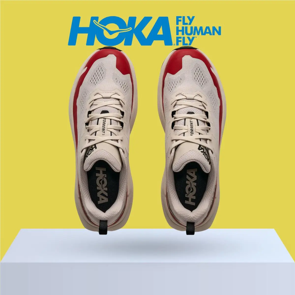 Hoka shoes - Hoka One One Torrent 5 - Galactic Grey/Stardust 12