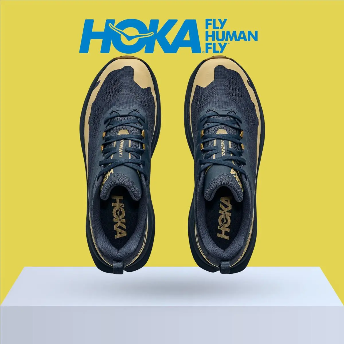 Hoka shoes - Hoka One One Torrent 5 - Galactic Grey/Stardust 22