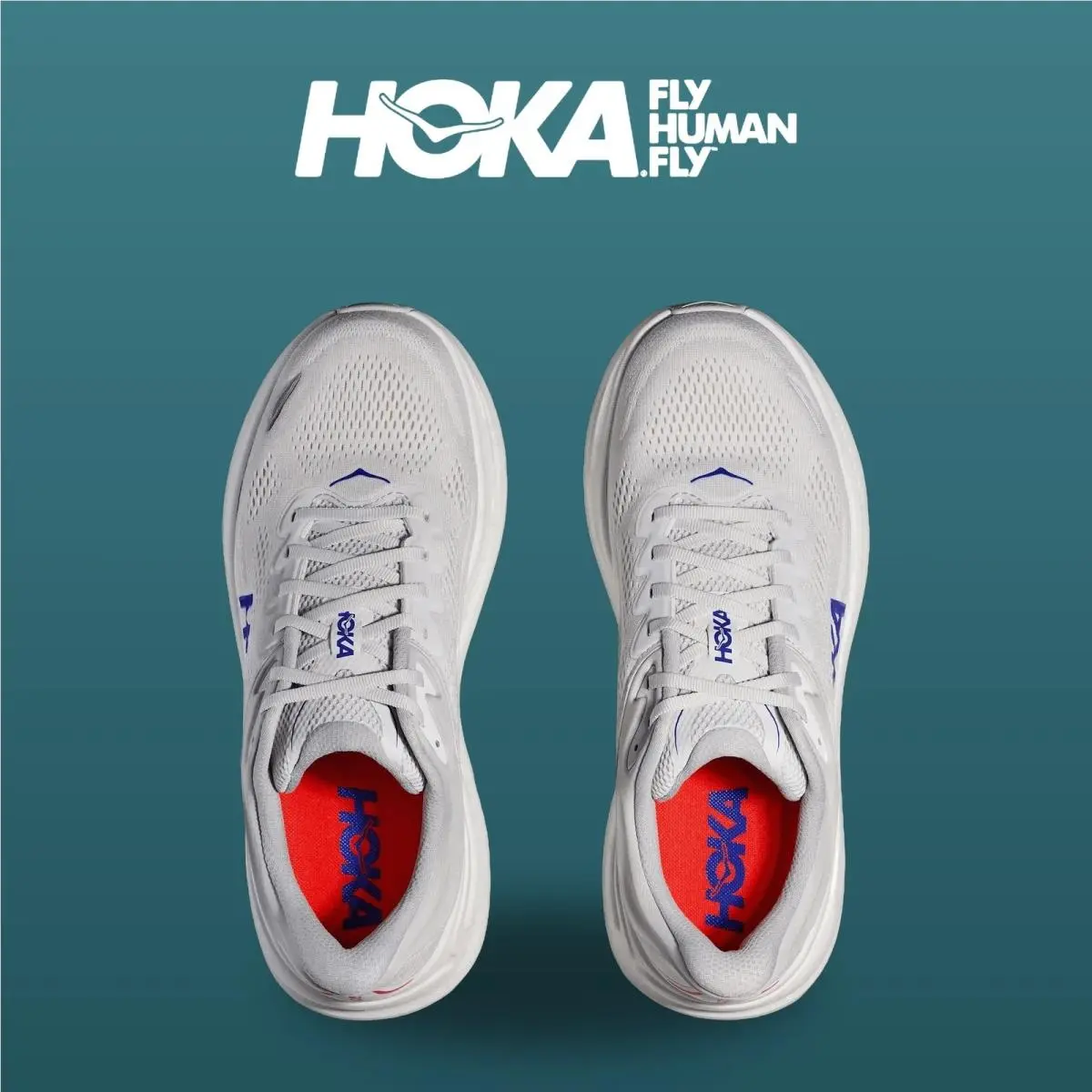 Hoka shoes - Bondi 9 - Bondi - 1162011-CYLT - Cosmic Grey/Ultramarine 10