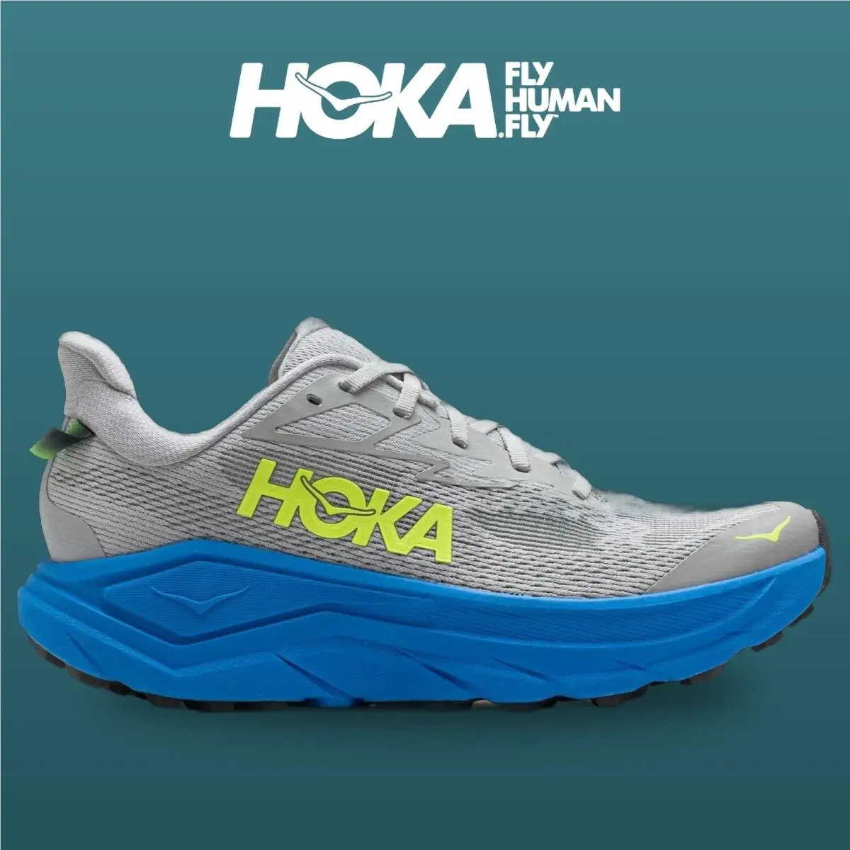 Hoka shoes - Challenger 8 - Challenger - 1168716-STVR - Stardust/Virtual Blue 6